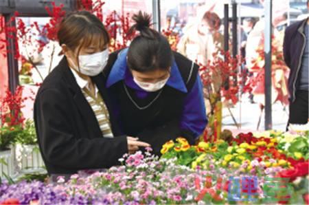 “晋宁的花”在滇越法式风情街尚义花市开业