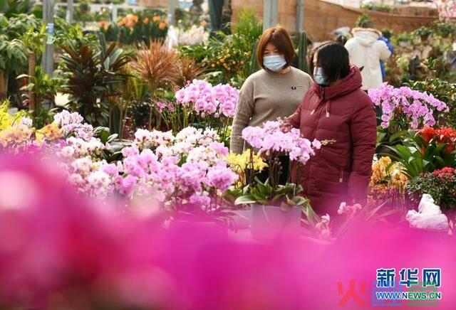 鲜花市场 开业活动_鲜花市场 开业活动_济宁订开业鲜花