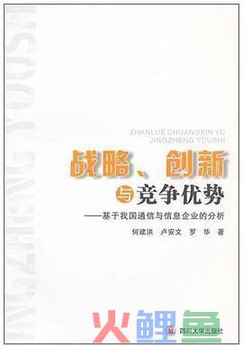 it信息化行业营销实战丛书·战略营销策划_市场营销战略的定义_增量市场存量市场定义