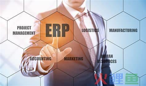 ERP中的财务管理