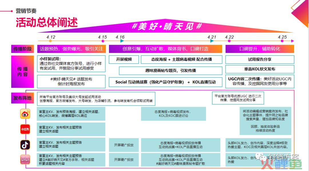 网络品牌策划方案_网络品牌规划与网络推广策划方案_红桔网络营销推广策划方案