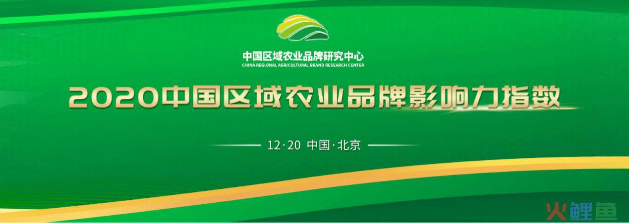 品牌战略规划策划公司_农业品牌策划公司_品牌营销推广策划公司