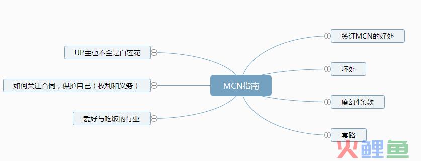 脑图：MCN指南