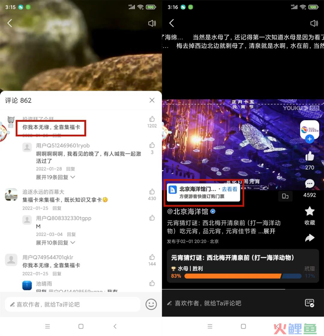 盯上视频+直播，支付宝生活号做得怎么样了？