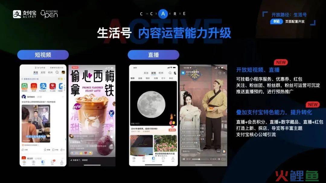 盯上视频+直播，支付宝生活号做得怎么样了？