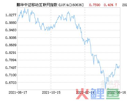 鹏华中证移动互联网指数(LOF)A净值下跌1.34% 请保持关注 