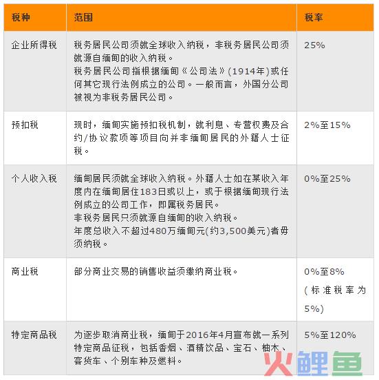 十国税务对比，跨境贸易公司的最佳跳板一目了然(跨境税务解决方案)