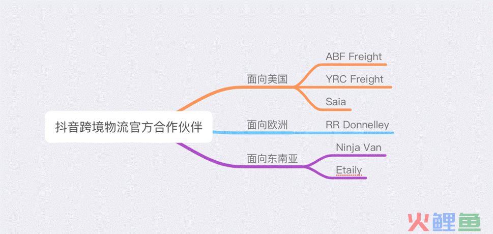 淘金14万亿！抖音、希音成跨境电商新双雄，中国物流巨头竞相争宠(跨境电商 上市公司横空出世)