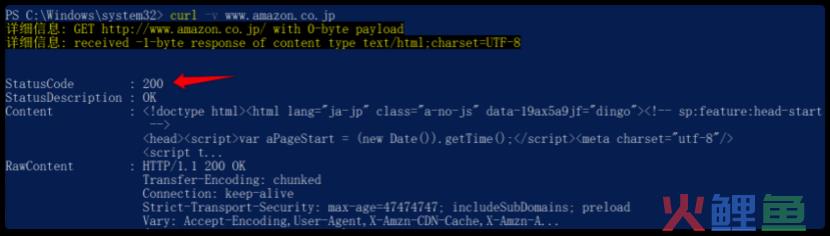 跨境电商怎样从根本上解决无法访问ebay amazon等网络问题(跨境电商登录)