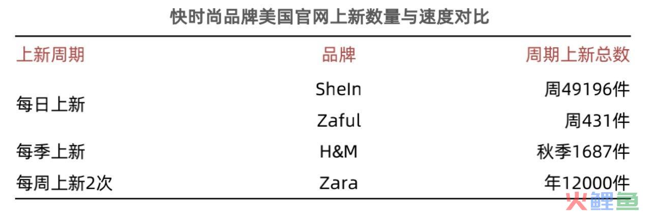 冲击千亿美元估值 快时尚跨境电商“卷王”SHEIN能成亚马逊挑战者吗？(番禺跨境电商)