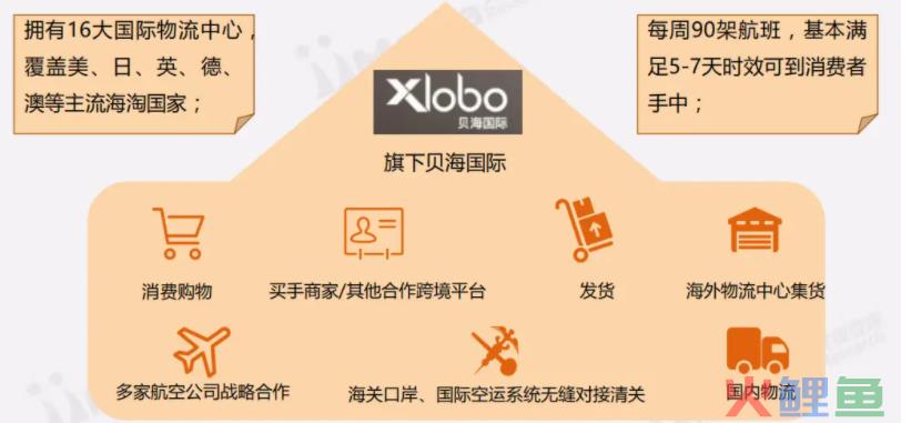 跨境电商案例分析——考拉海购＆洋码头(跨境电商案例分析)