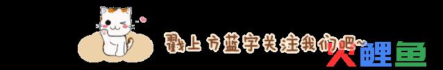 2020年梅州市直播电商网红培训第七期 五华专场圆满成功！(梅州跨境电商)