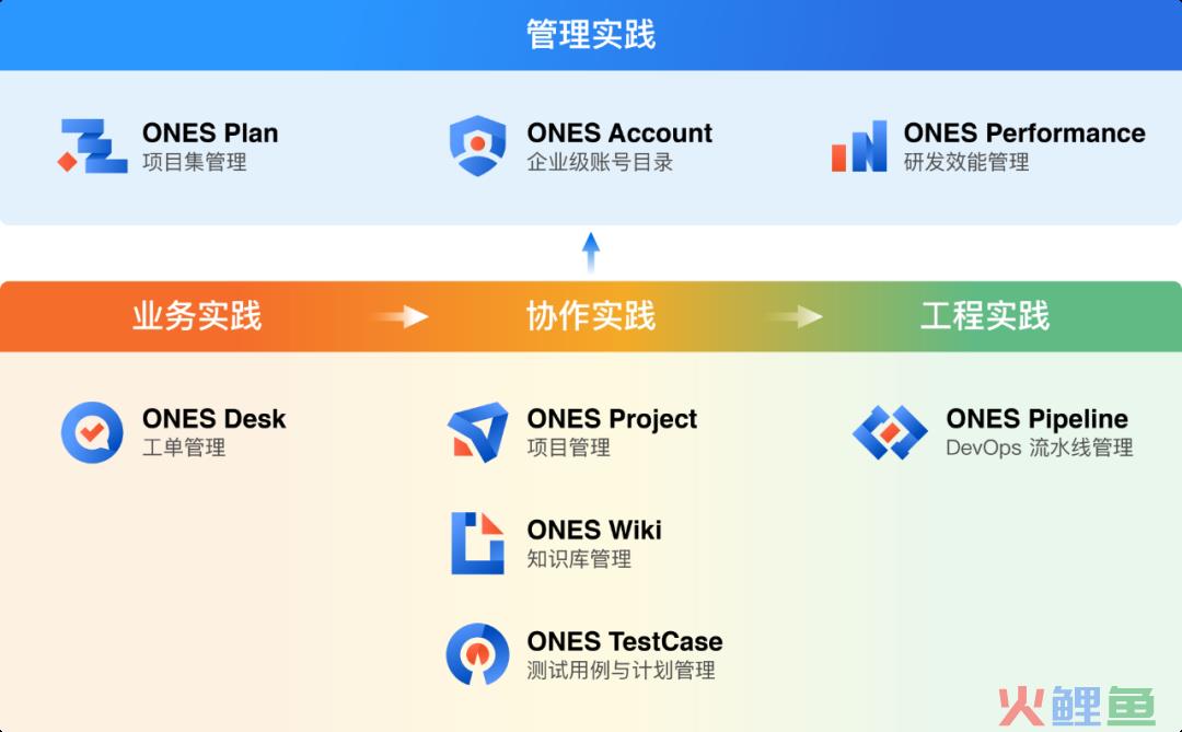 研发管理工具 「ONES」宣布完成3亿人民币B1 B2轮融资  源码资本参投(跨境erp源码)