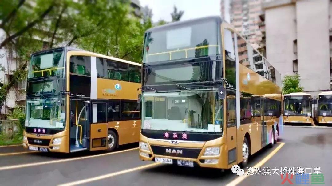 南海⇌香港，打卡港珠澳大桥+广深港高铁的出游指南！实用速收藏！(深港跨境巴士)