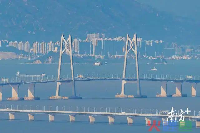 乘跨境电商“东风”，珠海企业稳步拓展国际市场(珠海跨境工业区招聘)