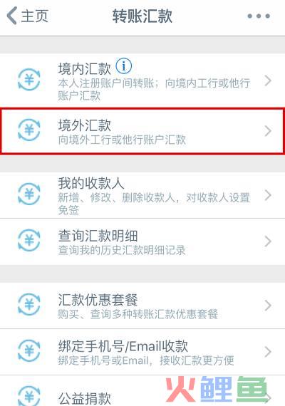 跨境汇款，操作难度大？费用贵？(跨境汇款电报费)