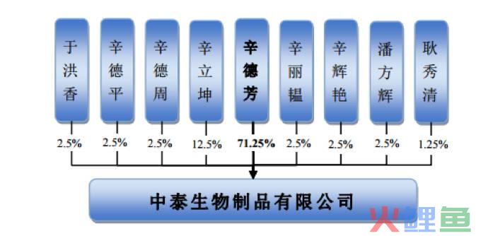 从相关案例看上市公司“跨境换股”的法律适用问题(跨境并购 spv)