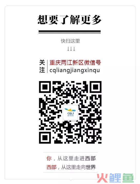 跨境电商税收新政落地，购物攻略请戳这里>>>(登录跨境电商正品低价)