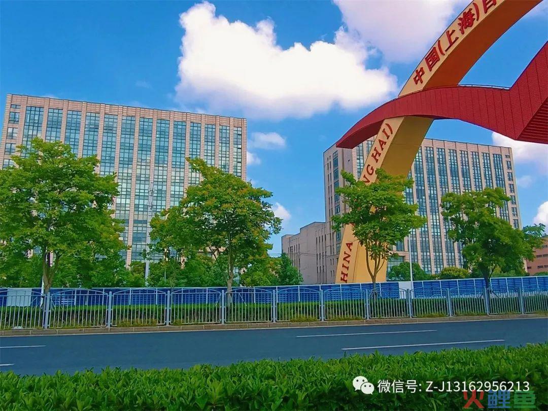 集结令——保周跨境电商直播产业园(温州跨境电商产业园)