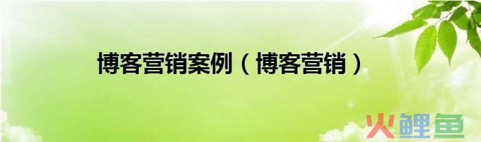 网易博客营销软件，博客营销案例 博客营销