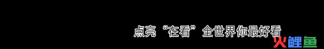 深圳市康王保健产 品有限公司_2016年幼儿园保健计划_保健品市场营销计划书