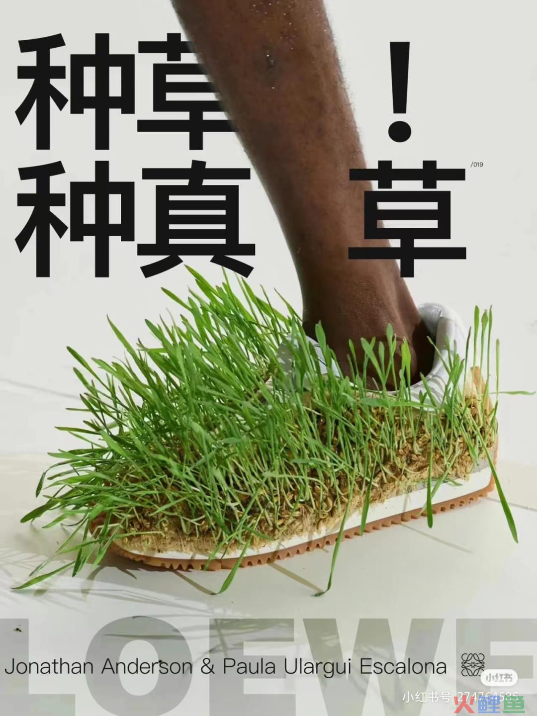 张颂文的“草”被设计成鞋？太费“香港脚”了