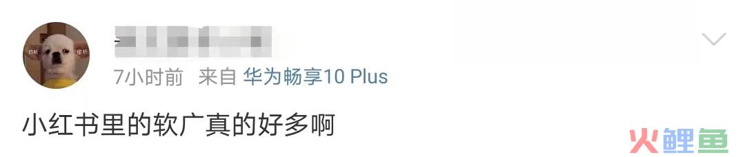 至本和且初开撕,最大输家是小红书