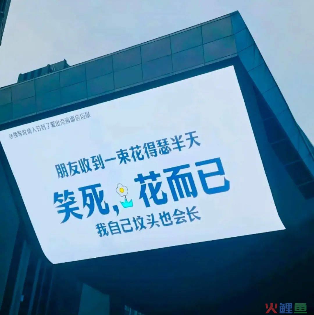上海武康路郁金香陷“诈骗门”？城市营销别太离谱了
