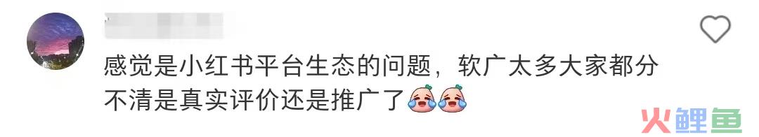 至本和且初开撕,最大输家是小红书