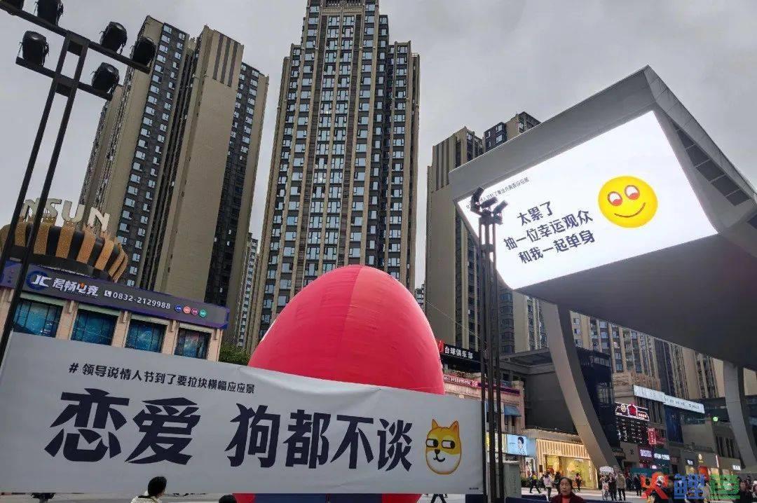 上海武康路郁金香陷“诈骗门”？城市营销别太离谱了