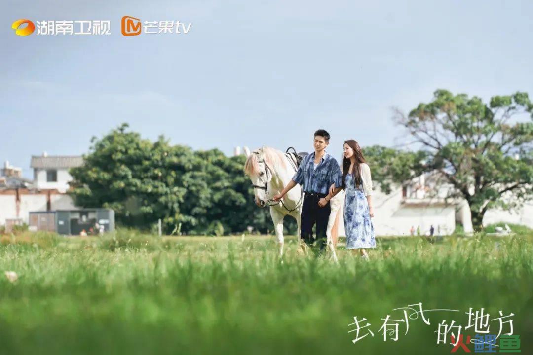上海武康路郁金香陷“诈骗门”？城市营销别太离谱了