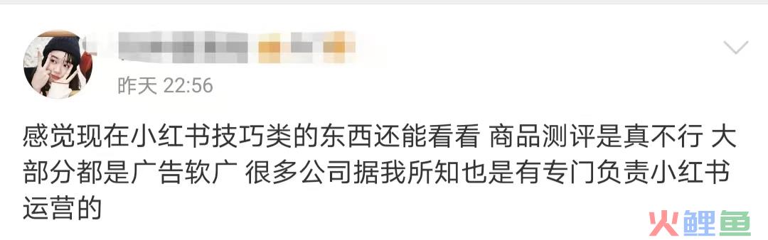 至本和且初开撕,最大输家是小红书