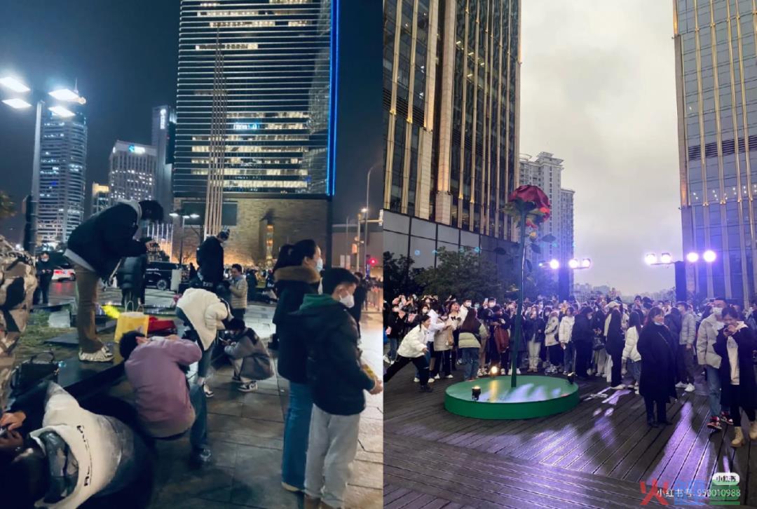 上海武康路郁金香陷“诈骗门”？城市营销别太离谱了