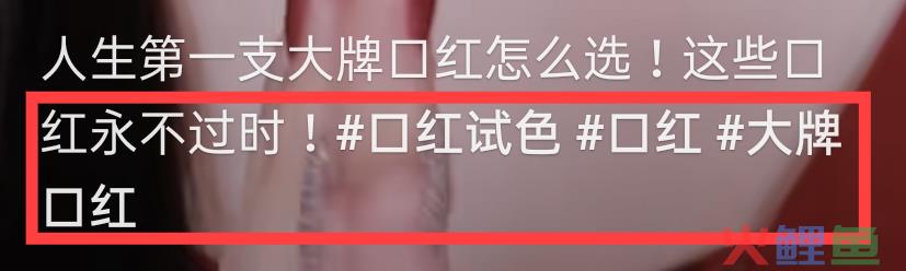 5分钟，学会布局【抖音搜索】获取流量