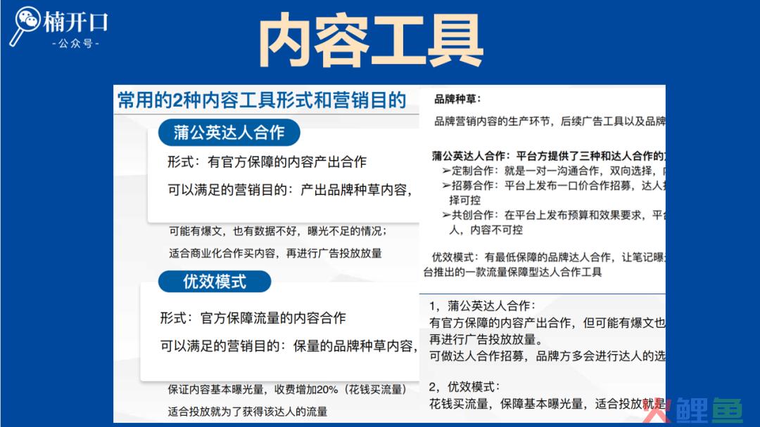 如何制定付费流量的投放指标？提高小红书投放效率的3大付费工具及应用场景！