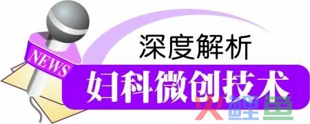 鄂东南妇科与不孕症微创技术论坛7月开幕，妇科微创技术