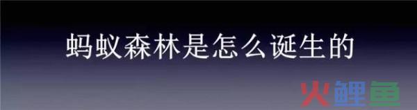 我是「蚂蚁森林」产品经理，听说有2.3亿人想认识我？