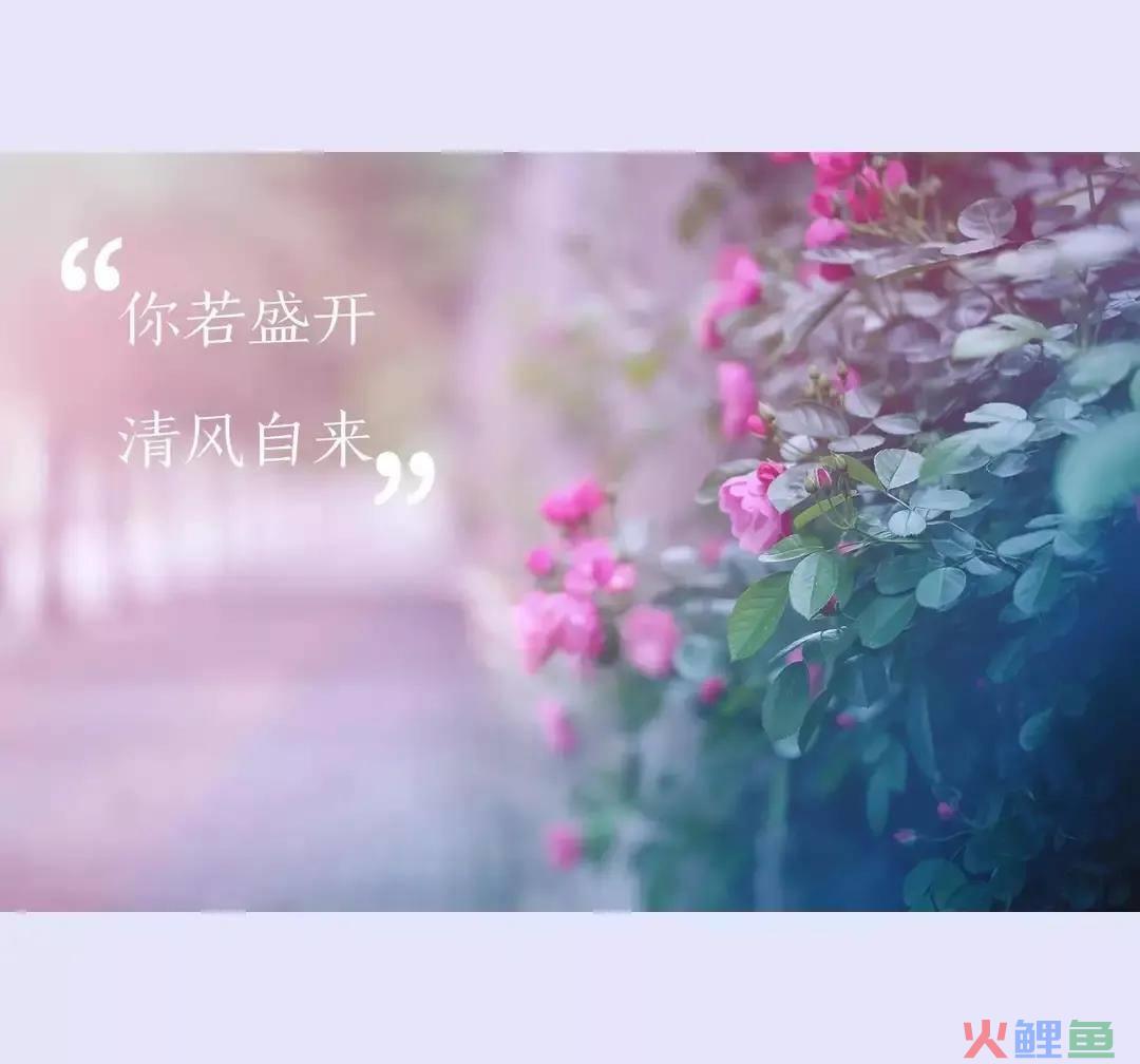 校园营销大赛策划方案_营销沙龙策划方案_怎么写市场营销策划方案