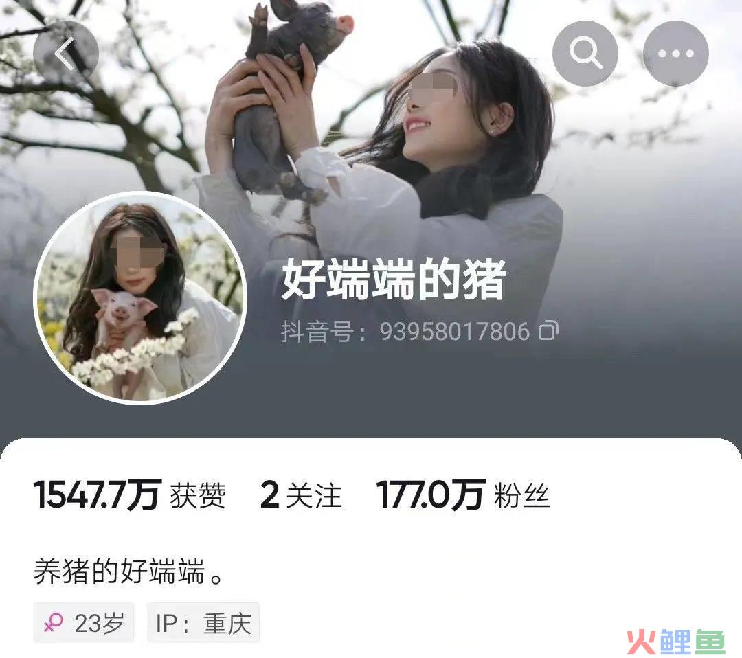 播放量破亿，网红“噶猪少女”才是抖音新顶流！