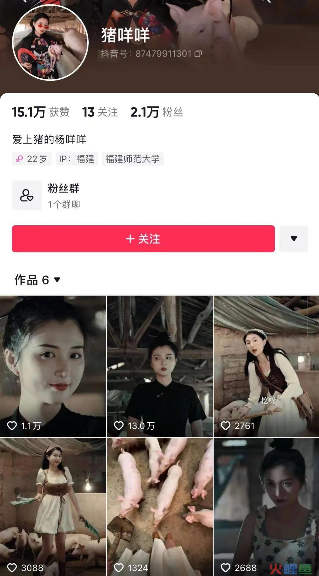 单月涨粉228万，为何大家都爱看美少女优雅养猪？