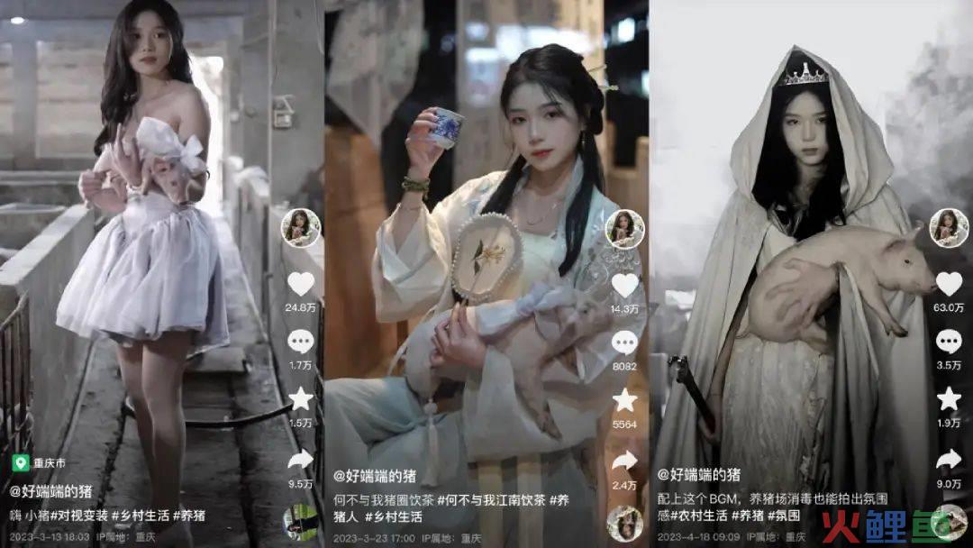 单月涨粉228万，为何大家都爱看美少女优雅养猪？