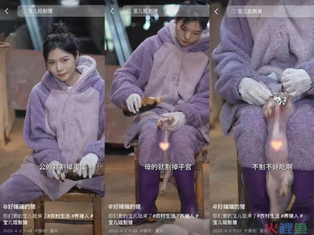 单月涨粉228万，为何大家都爱看美少女优雅养猪？