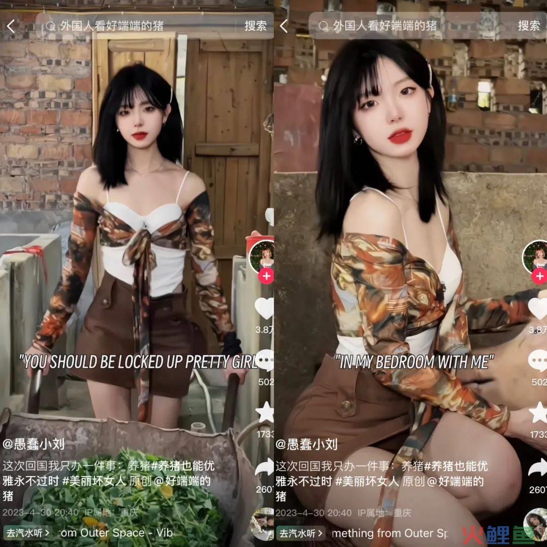 单月涨粉228万，为何大家都爱看美少女优雅养猪？