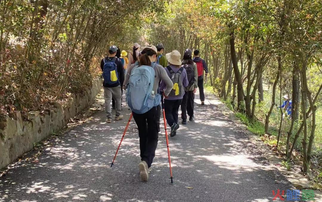 年轻人的新时代“跟团游”