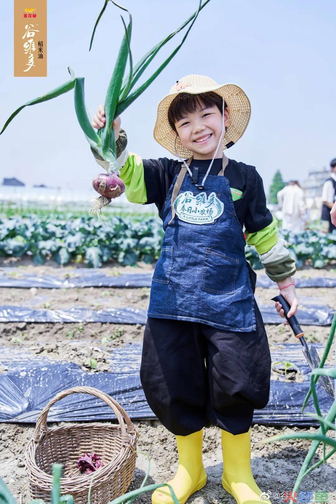 谷维多的春日小农场，藏着孩子最“自然”的童年