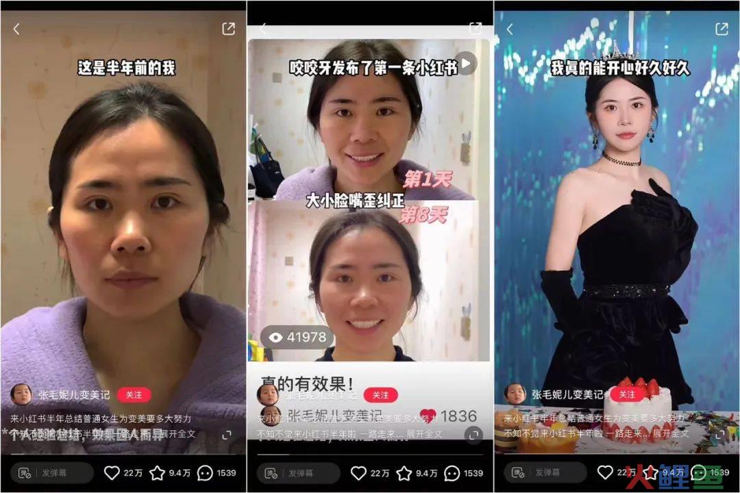 一条视频霸榜四大平台，全能博主“接棒”李子柒
