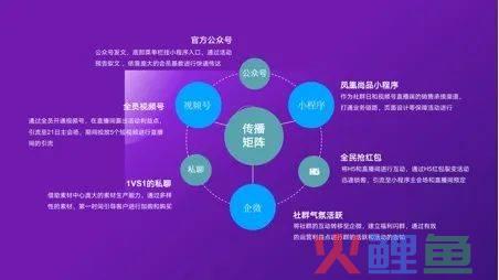 独家:报喜鸟开始布局私域3.0