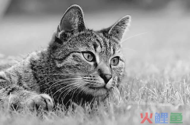 市道不好，连知乎编的段子都越来越小气了