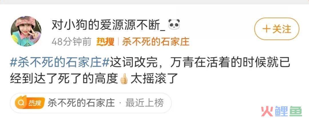 杀不死的石家庄争议重重，摇滚之城能像村超足球一样出圈吗？