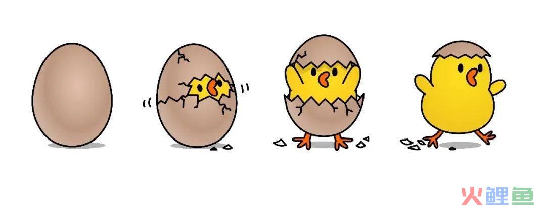 杀不死的石家庄争议重重，摇滚之城能像村超足球一样出圈吗？